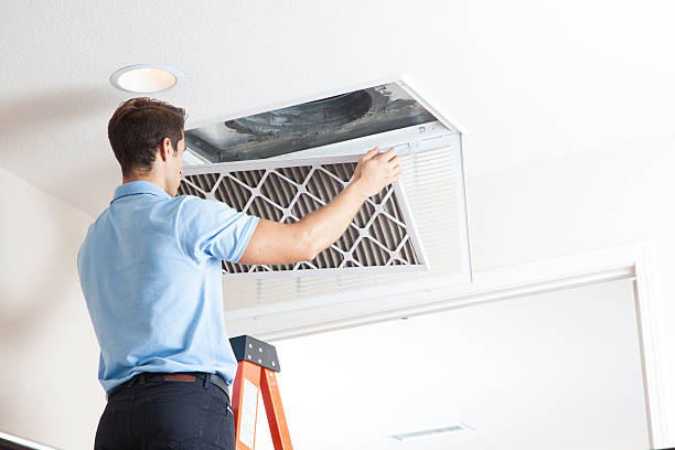Best HVAC air duct cleaning  in Hastings, MN